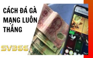 Cách đá gà mạng luôn thắng tại SV366