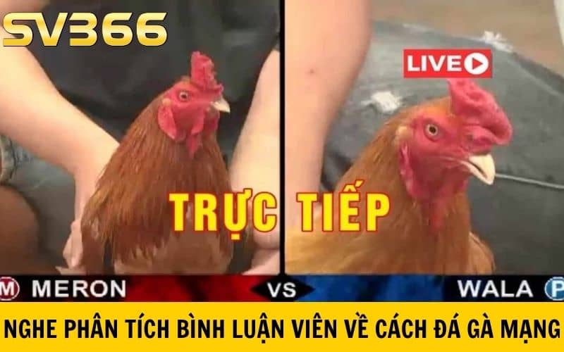 Nghe phân tích từ bình luận viên để có cách đá gà mạng